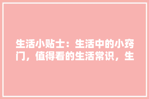 01数字的魔力与代码的奥秘——01的编码传奇