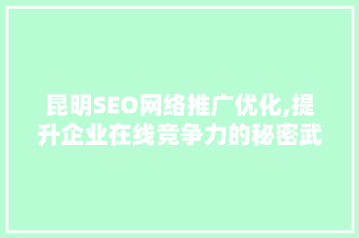 昆明SEO网络推广优化,提升企业在线竞争力的秘密武器