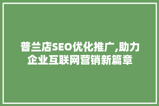 普兰店SEO优化推广,助力企业互联网营销新篇章
