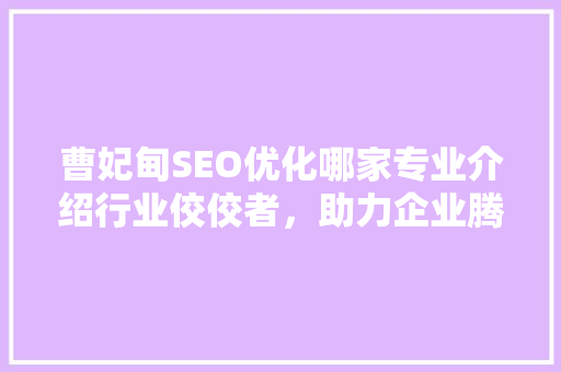 曹妃甸SEO优化哪家专业介绍行业佼佼者，助力企业腾飞