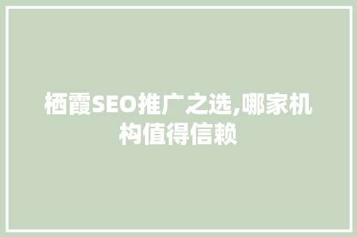 栖霞SEO推广之选,哪家机构值得信赖