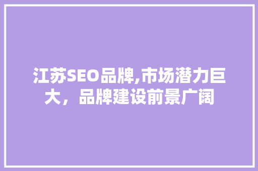 江苏SEO品牌,市场潜力巨大，品牌建设前景广阔