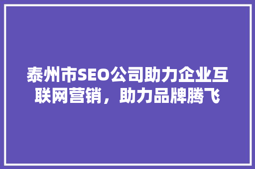 泰州市SEO公司助力企业互联网营销，助力品牌腾飞