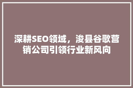 深耕SEO领域，浚县谷歌营销公司引领行业新风向