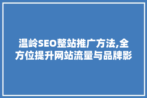 温岭SEO整站推广方法,全方位提升网站流量与品牌影响力