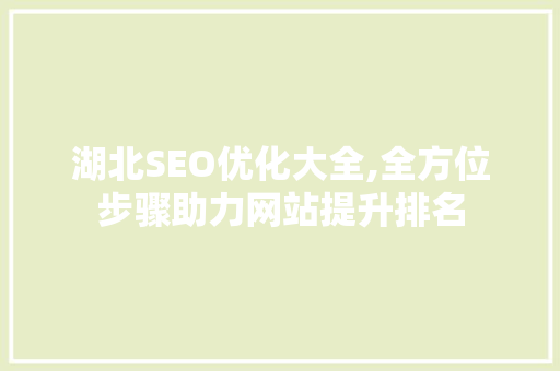 湖北SEO优化大全,全方位步骤助力网站提升排名