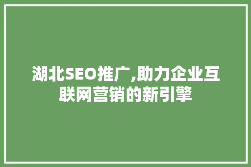 湖北SEO推广,助力企业互联网营销的新引擎