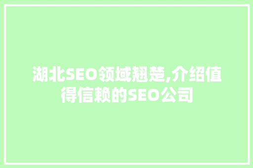 湖北SEO领域翘楚,介绍值得信赖的SEO公司