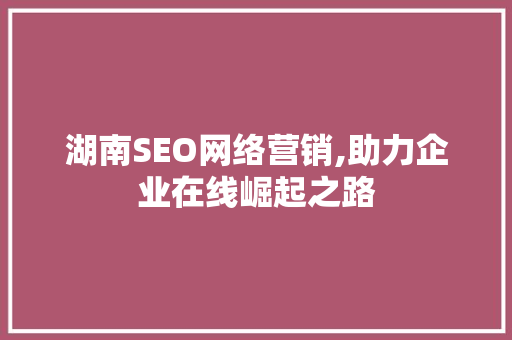 湖南SEO网络营销,助力企业在线崛起之路