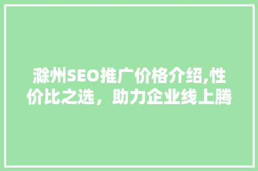 滁州SEO推广价格介绍,性价比之选，助力企业线上腾飞