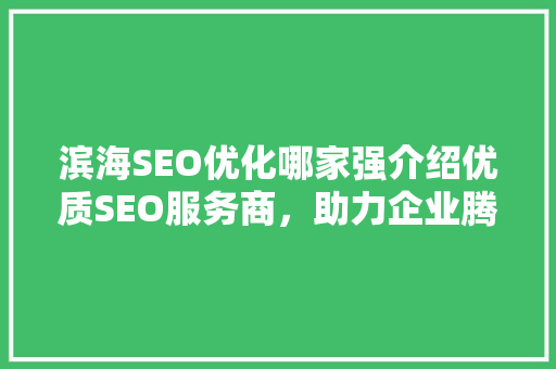 滨海SEO优化哪家强介绍优质SEO服务商，助力企业腾飞