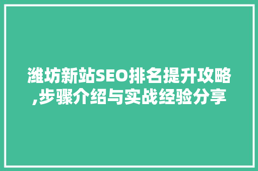 潍坊新站SEO排名提升攻略,步骤介绍与实战经验分享  第1张