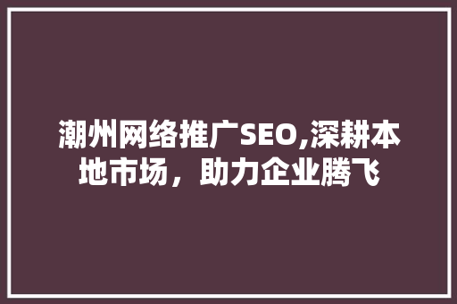潮州网络推广SEO,深耕本地市场，助力企业腾飞  第1张