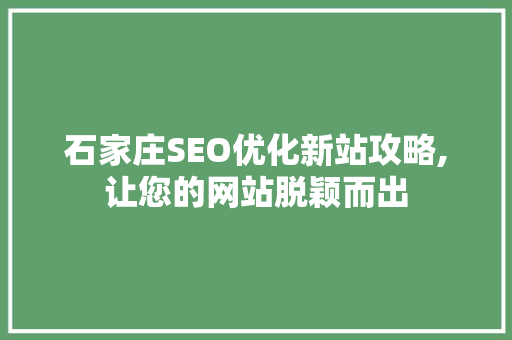 石家庄SEO优化新站攻略,让您的网站脱颖而出