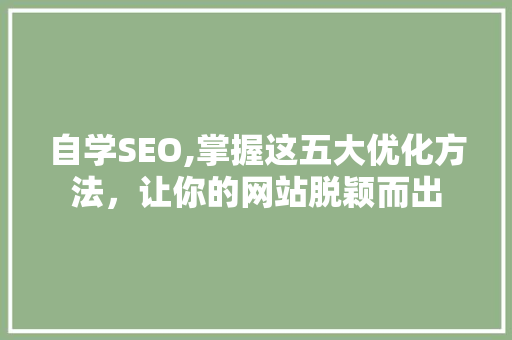 自学SEO,掌握这五大优化方法，让你的网站脱颖而出