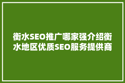 衡水SEO推广哪家强介绍衡水地区优质SEO服务提供商