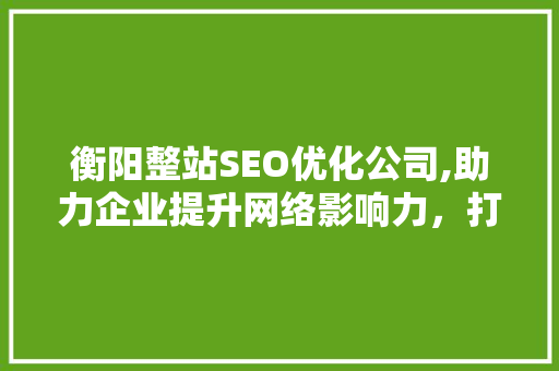 衡阳整站SEO优化公司,助力企业提升网络影响力，打造高效网络营销步骤