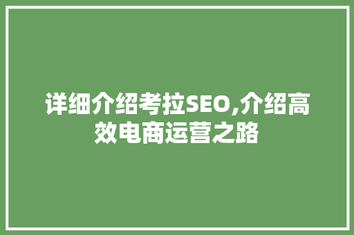 详细介绍考拉SEO,介绍高效电商运营之路
