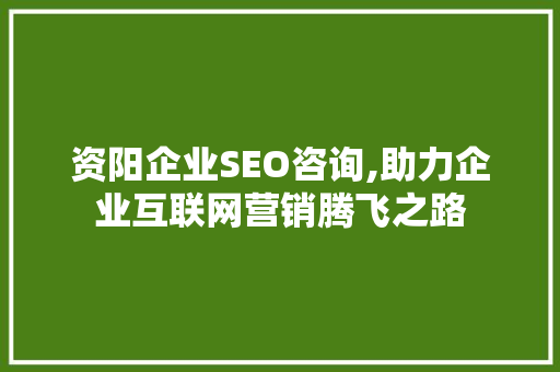 资阳企业SEO咨询,助力企业互联网营销腾飞之路