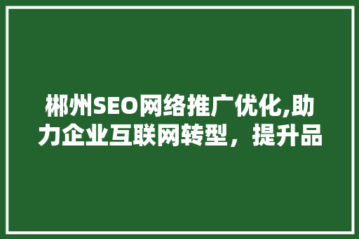 郴州SEO网络推广优化,助力企业互联网转型，提升品牌影响力