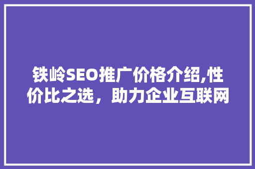 铁岭SEO推广价格介绍,性价比之选，助力企业互联网营销