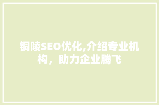铜陵SEO优化,介绍专业机构，助力企业腾飞