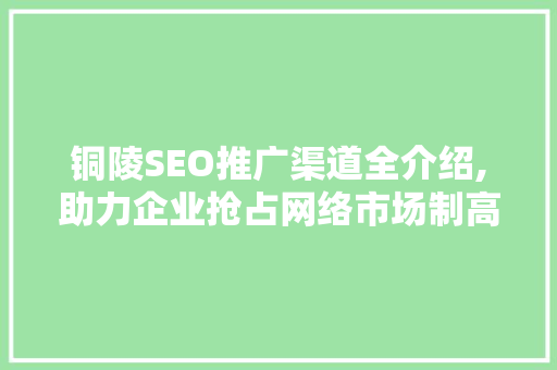 铜陵SEO推广渠道全介绍,助力企业抢占网络市场制高点