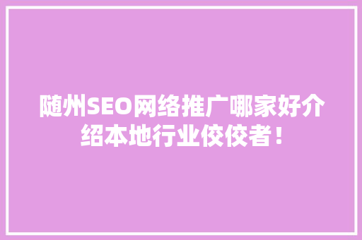 随州SEO网络推广哪家好介绍本地行业佼佼者！