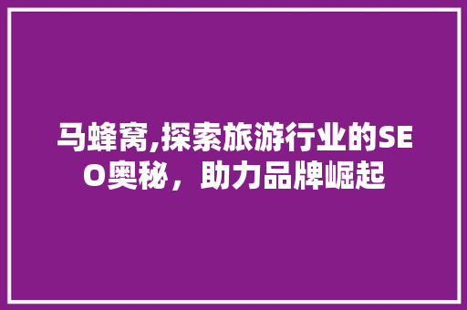 马蜂窝,探索旅游行业的SEO奥秘，助力品牌崛起