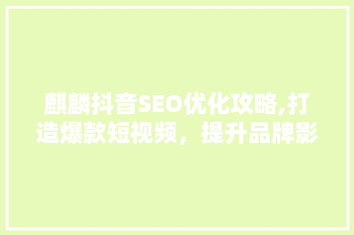 麒麟抖音SEO优化攻略,打造爆款短视频，提升品牌影响力