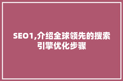 SEO1,介绍全球领先的搜索引擎优化步骤