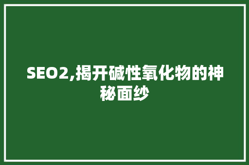 SEO2,揭开碱性氧化物的神秘面纱