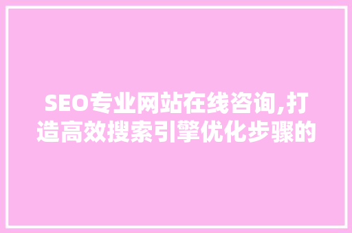 SEO专业网站在线咨询,打造高效搜索引擎优化步骤的关键途径