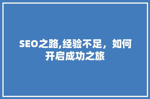 SEO之路,经验不足，如何开启成功之旅