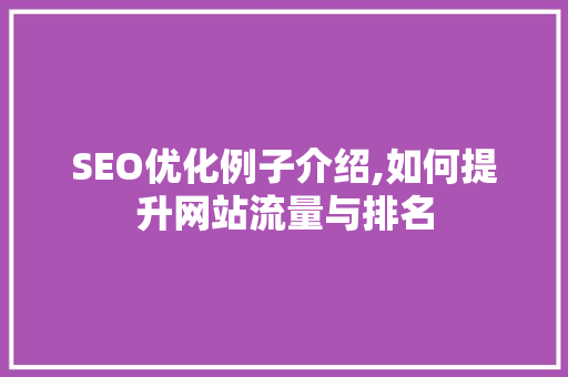 SEO优化例子介绍,如何提升网站流量与排名