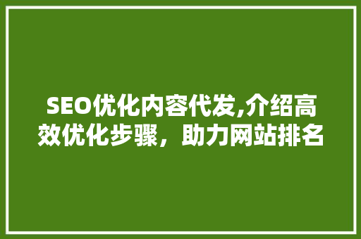 SEO优化内容代发,介绍高效优化步骤，助力网站排名飙升