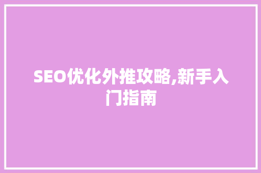 SEO优化外推攻略,新手入门指南