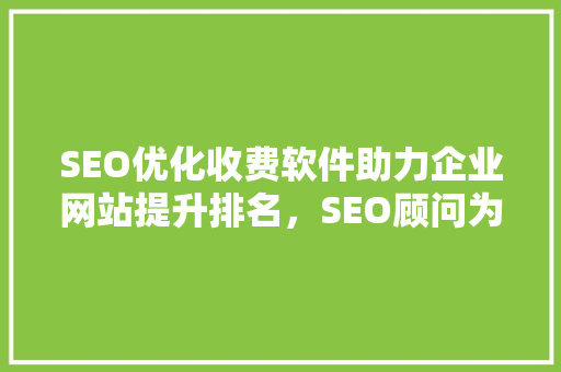 SEO优化收费软件助力企业网站提升排名，SEO顾问为您量身定制步骤