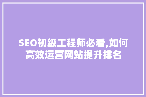 SEO初级工程师必看,如何高效运营网站提升排名