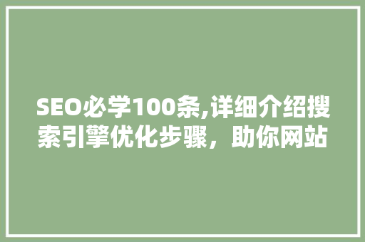 SEO必学100条,详细介绍搜索引擎优化步骤，助你网站排名飙升！