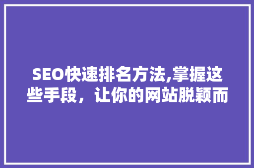 SEO快速排名方法,掌握这些手段，让你的网站脱颖而出！
