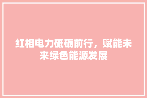 红相电力砥砺前行，赋能未来绿色能源发展
