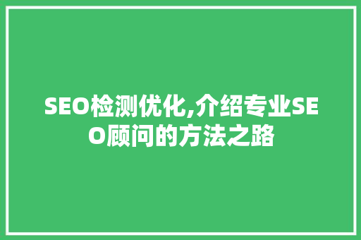 SEO检测优化,介绍专业SEO顾问的方法之路