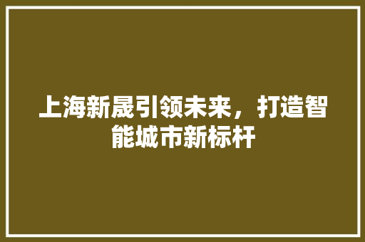 上海新晟引领未来，打造智能城市新标杆