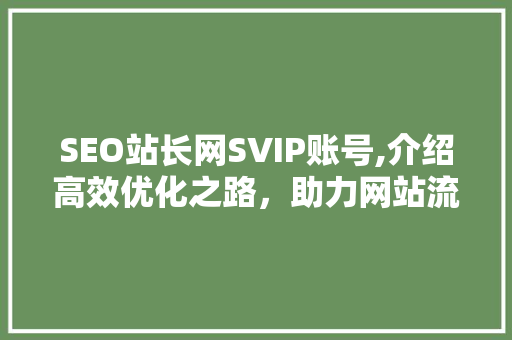 SEO站长网SVIP账号,介绍高效优化之路，助力网站流量翻倍增长