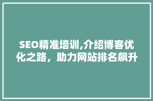 SEO精准培训,介绍博客优化之路，助力网站排名飙升
