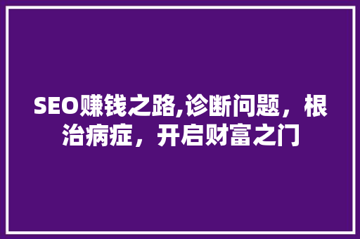 SEO赚钱之路,诊断问题，根治病症，开启财富之门