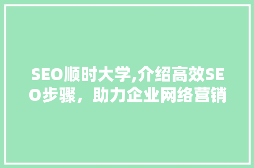 SEO顺时大学,介绍高效SEO步骤，助力企业网络营销腾飞