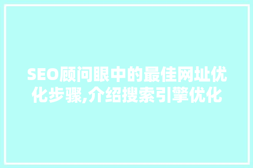 SEO顾问眼中的最佳网址优化步骤,介绍搜索引擎优化之路