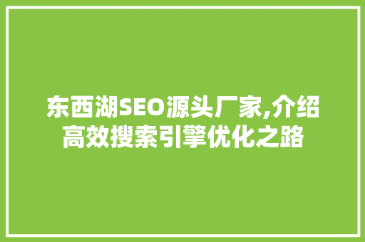 东西湖SEO源头厂家,介绍高效搜索引擎优化之路
